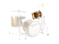 CANOPUS Birch 8.5x12 TT Gold Spkl. Wrap