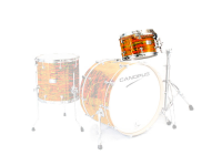 CANOPUS NV60M2  8x12 Tom Citrus Mod Wrap