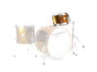 CANOPUS NV60M2  8x12 Tom Gold Spkl. Wrap